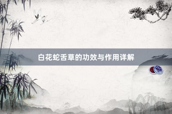 白花蛇舌草的功效与作用详解
